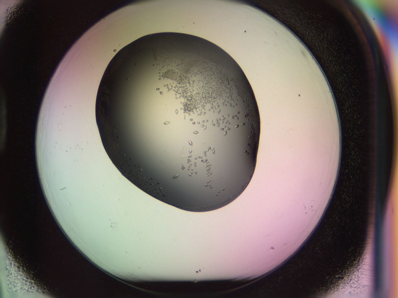 02my_D3_ImagerDefaults_9.jpg
