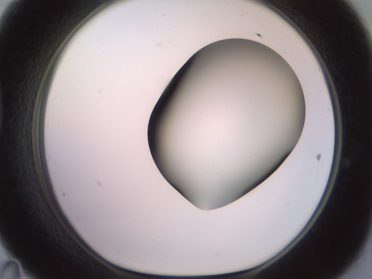 folderID416_plateID2416_batchID11658_wellNum47_profileID1_d1_r179214_ef.jpg