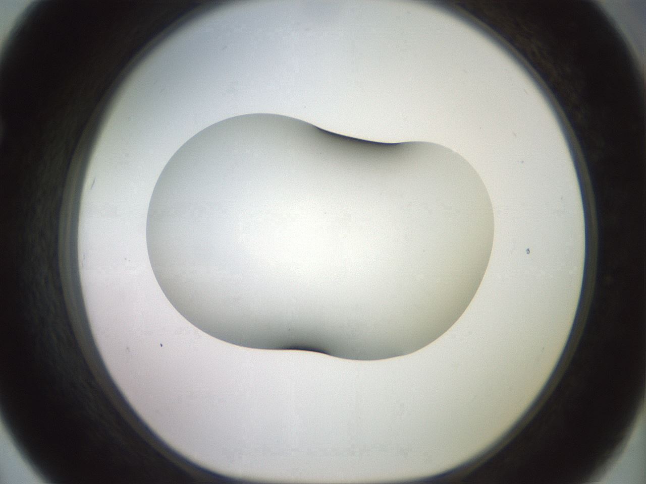 folderID416_plateID2416_batchID11658_wellNum67_profileID1_d1_r179234_ef.jpg