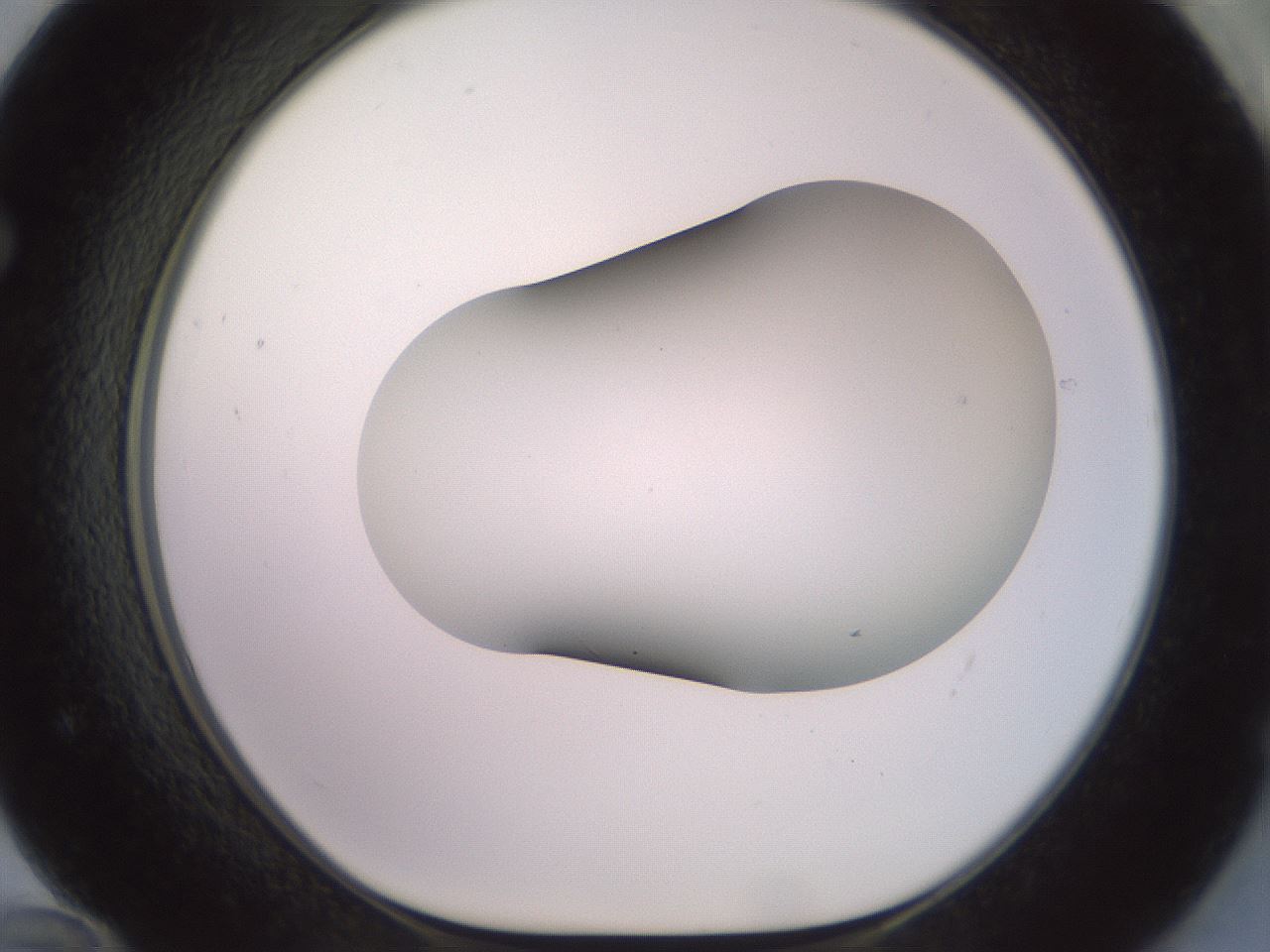 folderID416_plateID2416_batchID11658_wellNum72_profileID1_d1_r179239_ef.jpg