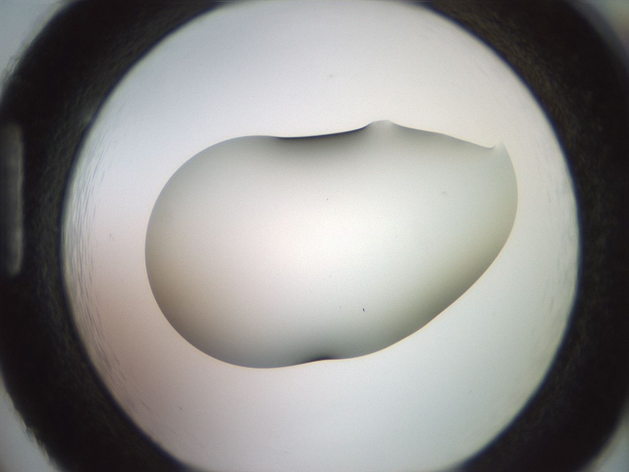 folderID416_plateID2416_batchID11658_wellNum86_profileID1_d1_r179253_ef.jpg