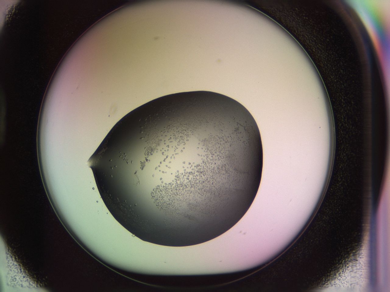 02my_D2_ImagerDefaults_9.jpg