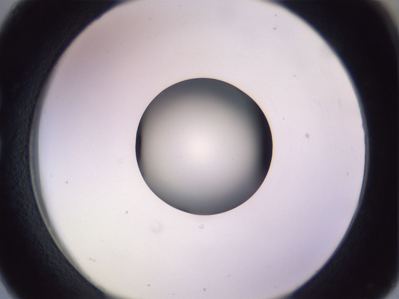 folderID417_plateID1417_batchID5188_wellNum26_profileID1_d1_r86635_ef.jpg