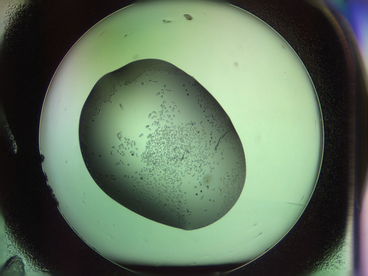 02my_A11_ImagerDefaults_9.jpg