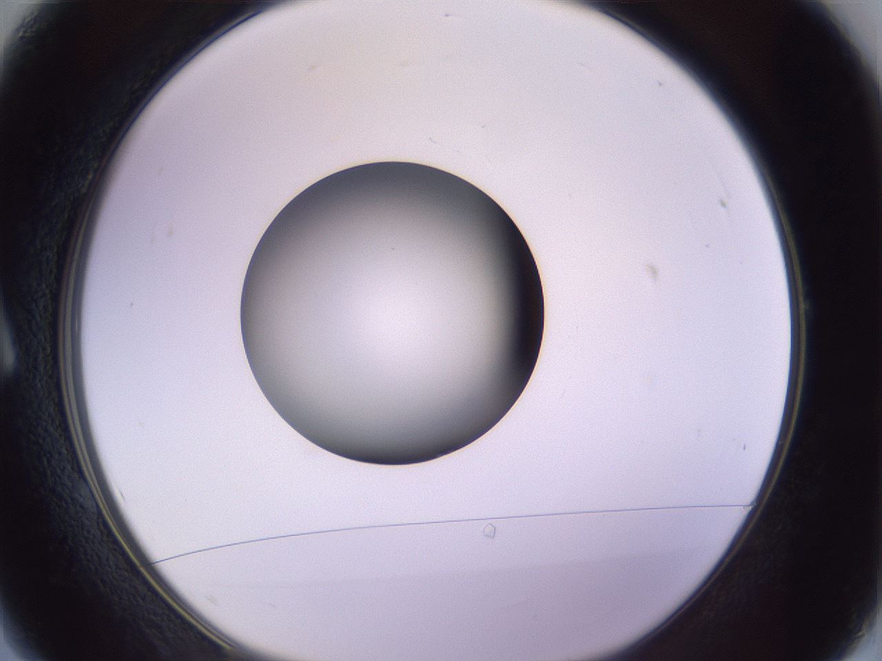 folderID417_plateID1417_batchID5188_wellNum1_profileID1_d1_r86610_ef.jpg