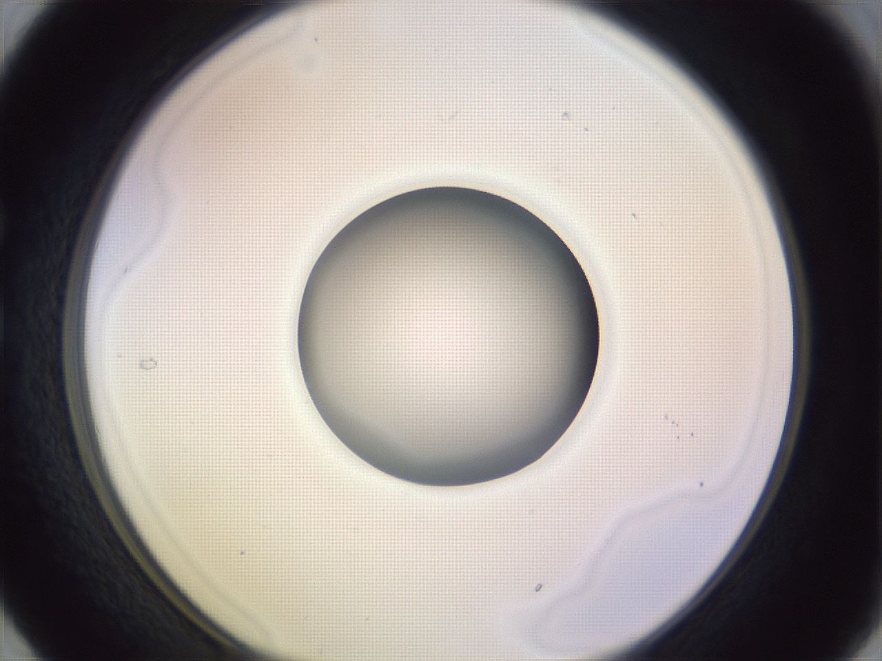 folderID417_plateID1417_batchID5188_wellNum29_profileID1_d1_r86638_ef.jpg