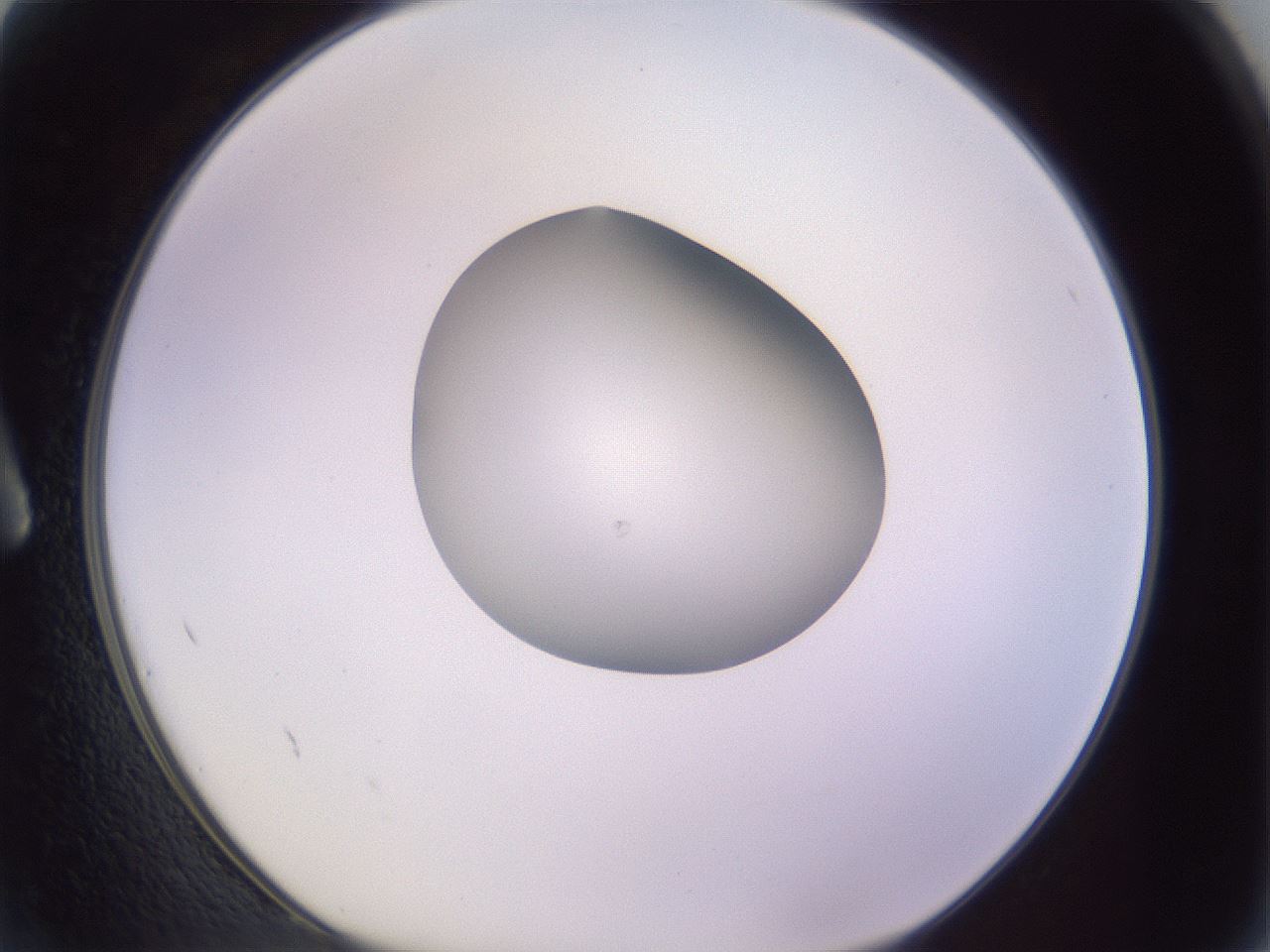 folderID417_plateID1417_batchID5188_wellNum2_profileID1_d1_r86611_ef.jpg