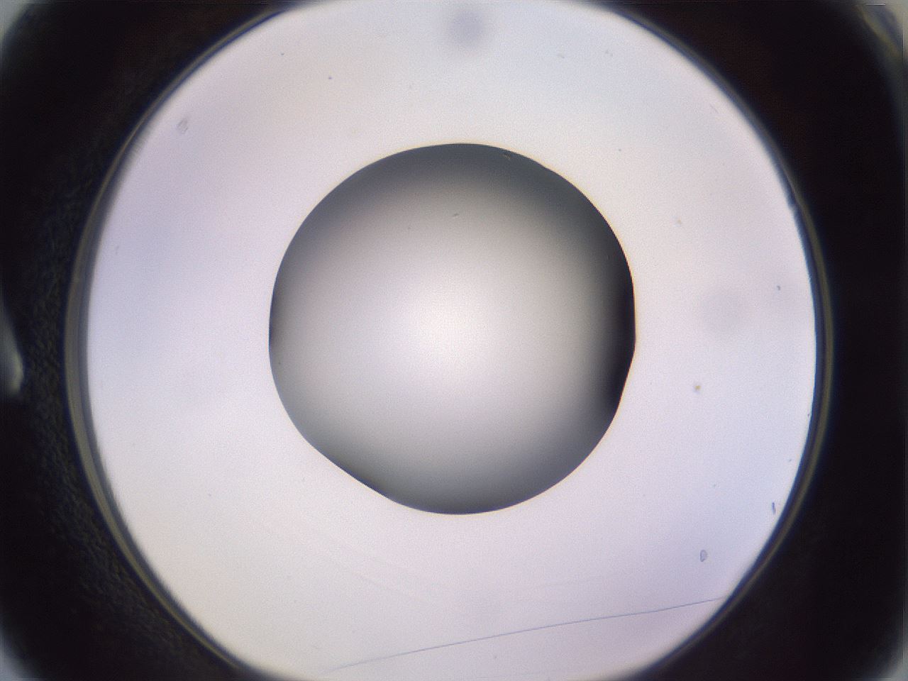 folderID417_plateID1417_batchID5188_wellNum3_profileID1_d1_r86612_ef.jpg