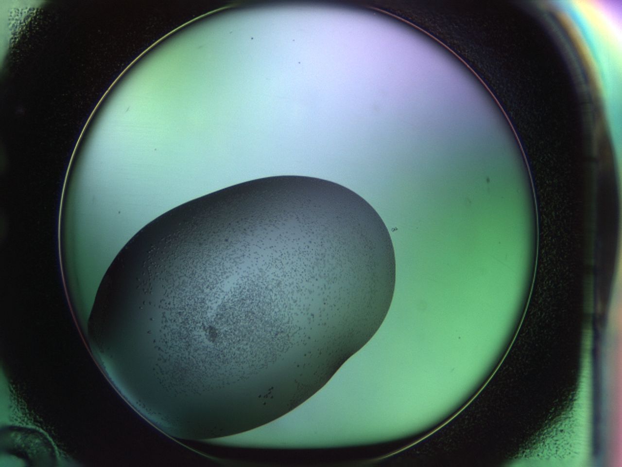 02my_C12_ImagerDefaults_9.jpg
