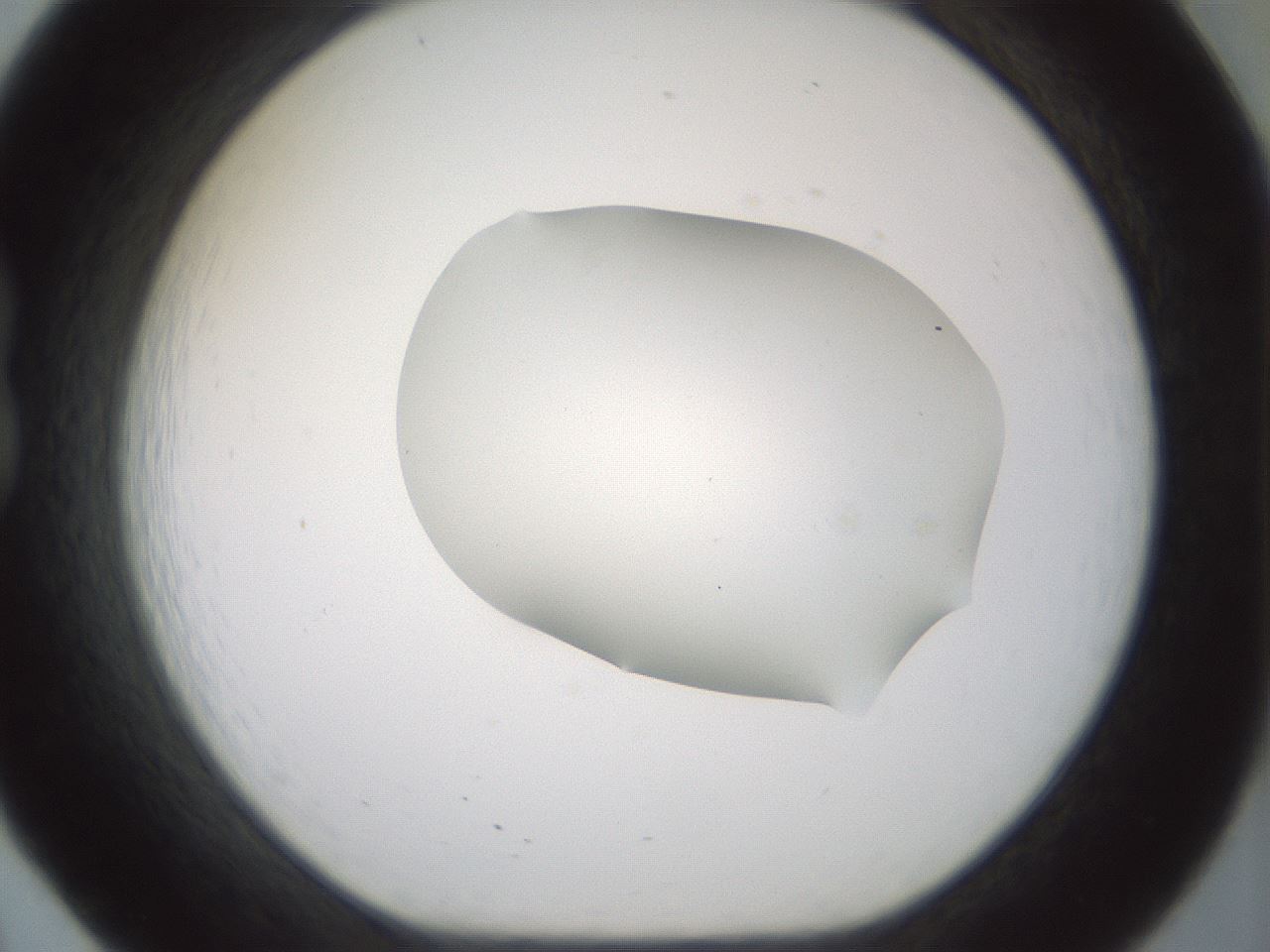 folderID183_plateID1183_batchID3364_wellNum20_profileID1_d1_r65618_ef.jpg