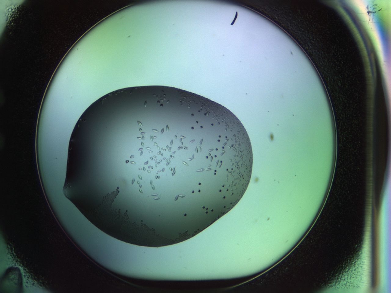 02my_C11_ImagerDefaults_9.jpg