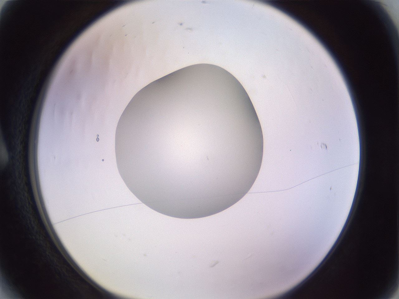 folderID417_plateID1417_batchID5188_wellNum6_profileID1_d1_r86615_ef.jpg