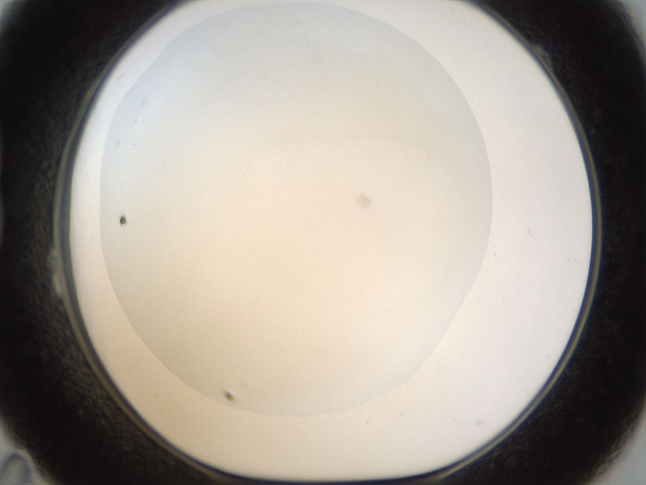 folderID18_plateID1018_batchID1888_wellNum23_profileID1_d1_r43098_ef.jpg