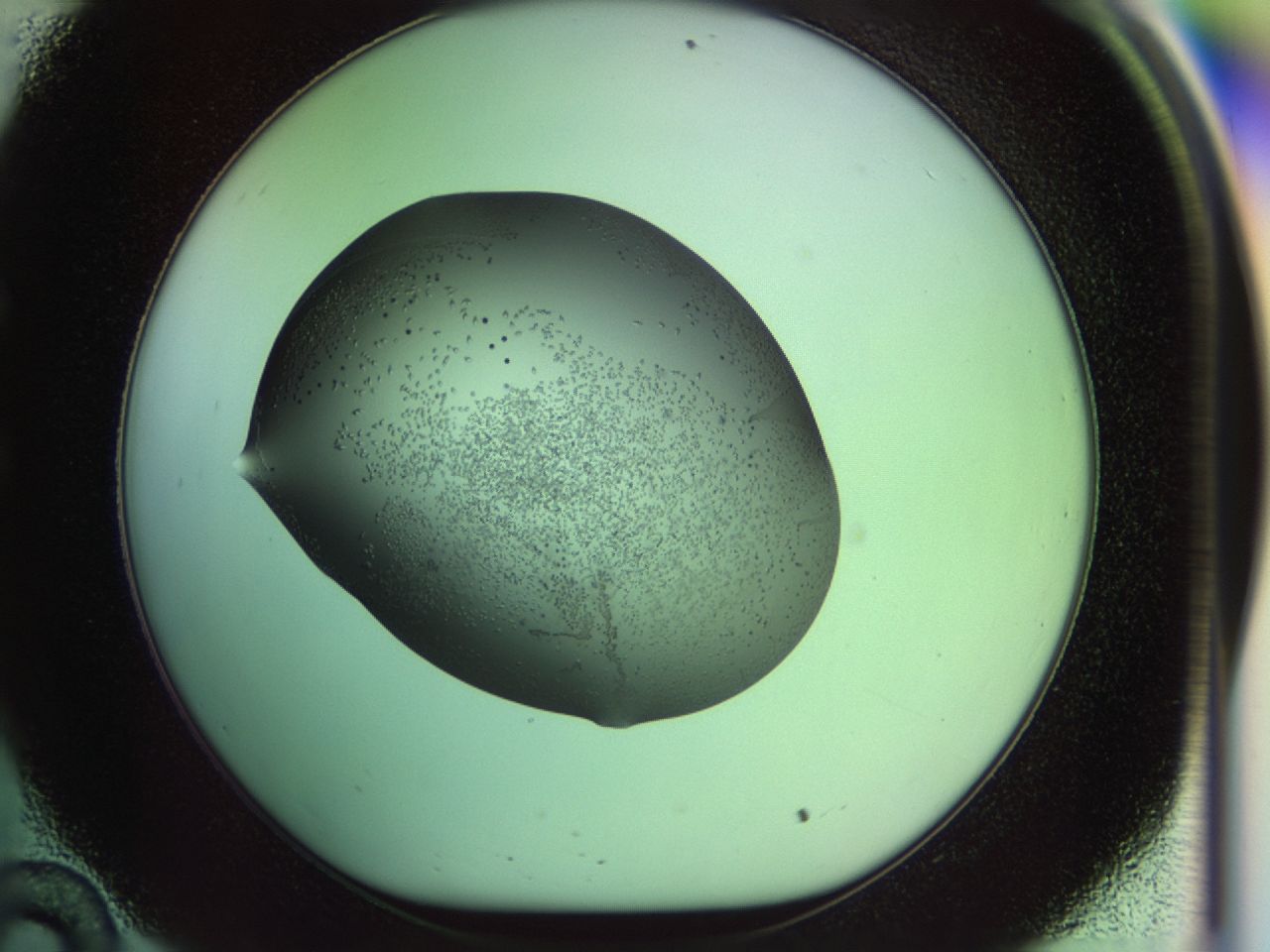 02my_C10_ImagerDefaults_9.jpg