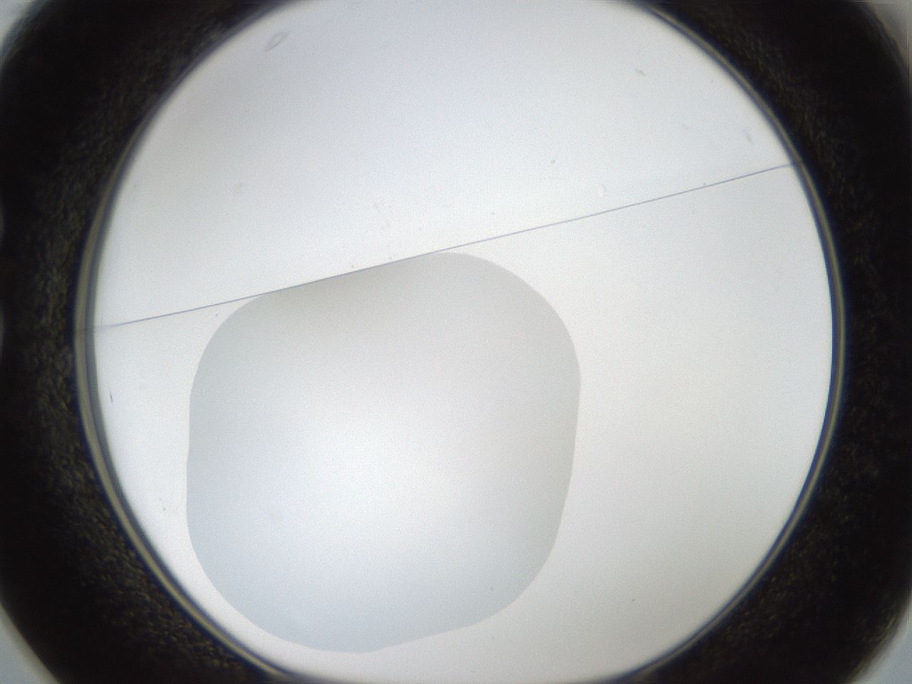 folderID18_plateID1018_batchID1888_wellNum25_profileID1_d1_r43100_ef.jpg