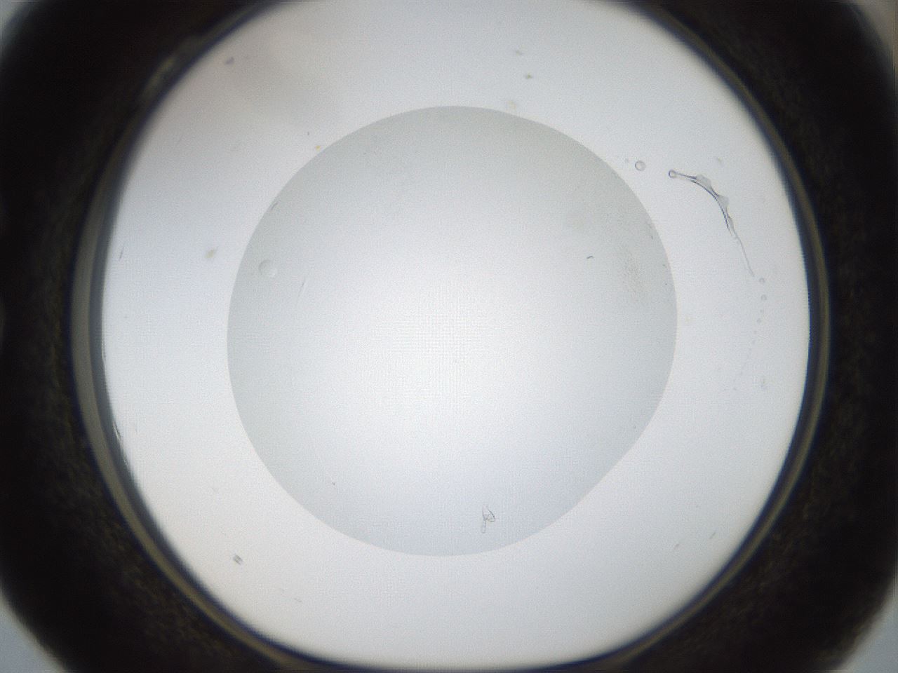 folderID18_plateID1018_batchID1888_wellNum28_profileID1_d1_r43103_ef.jpg