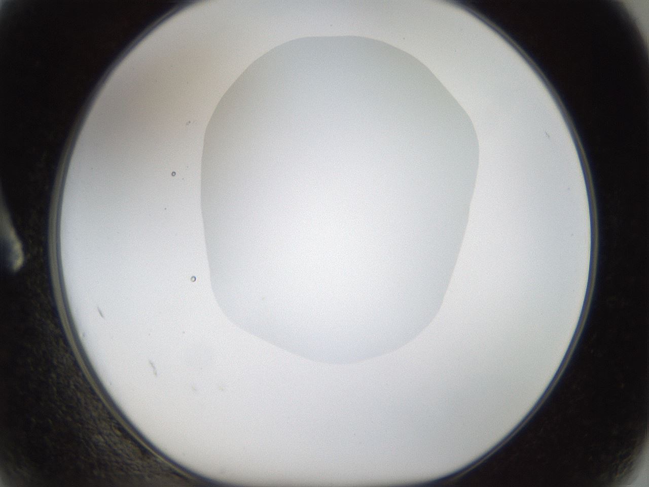 folderID18_plateID1018_batchID1888_wellNum2_profileID1_d1_r43077_ef.jpg