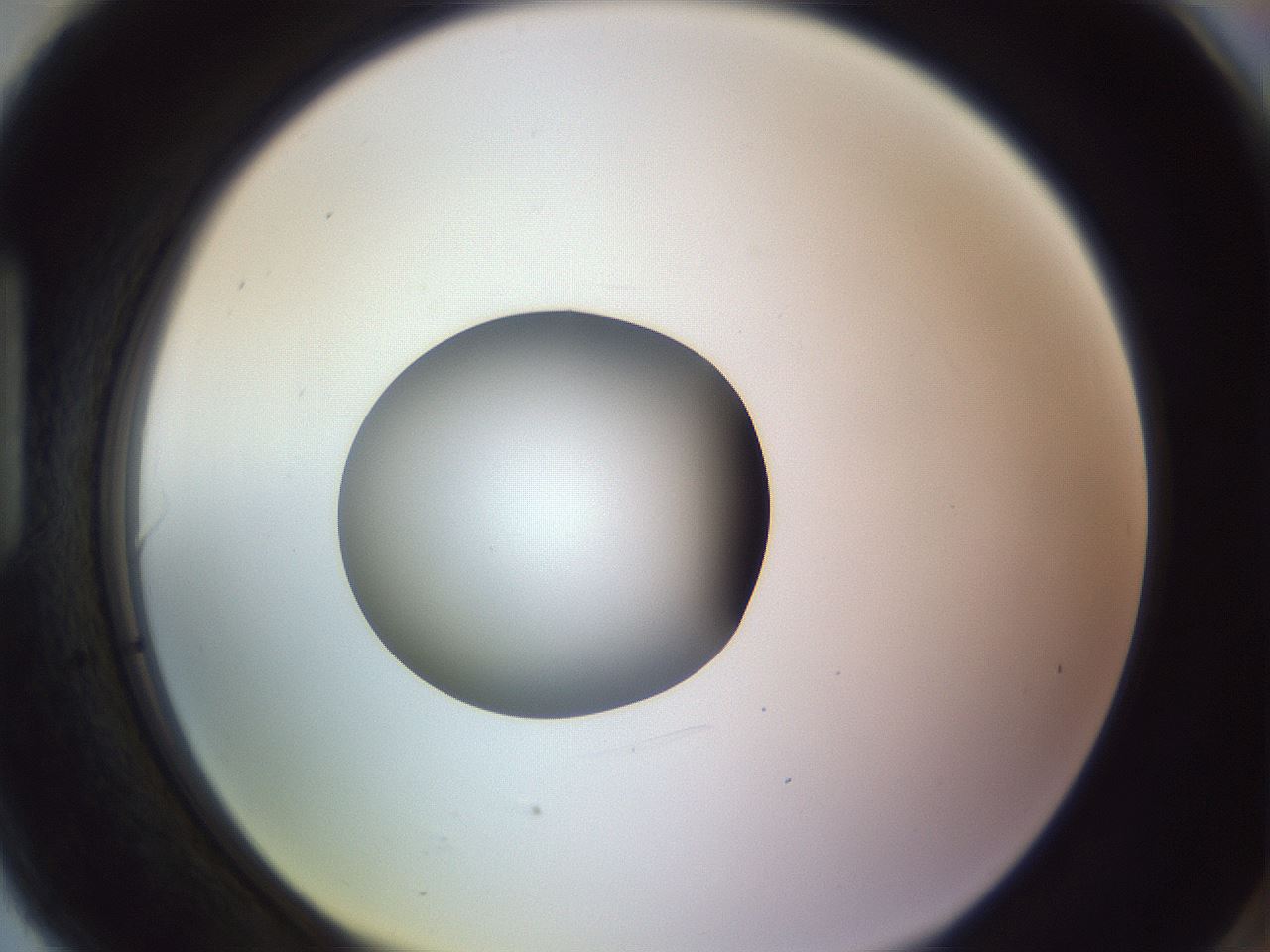 folderID417_plateID1417_batchID5188_wellNum90_profileID1_d1_r86699_ef.jpg
