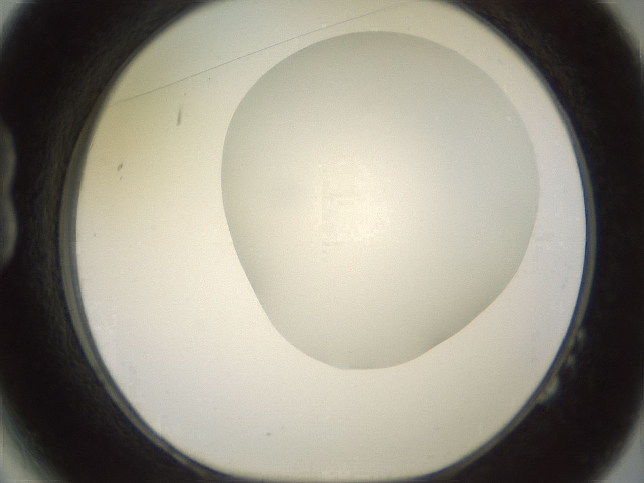 folderID417_plateID2417_batchID11657_wellNum14_profileID1_d1_r179085_ef.jpg