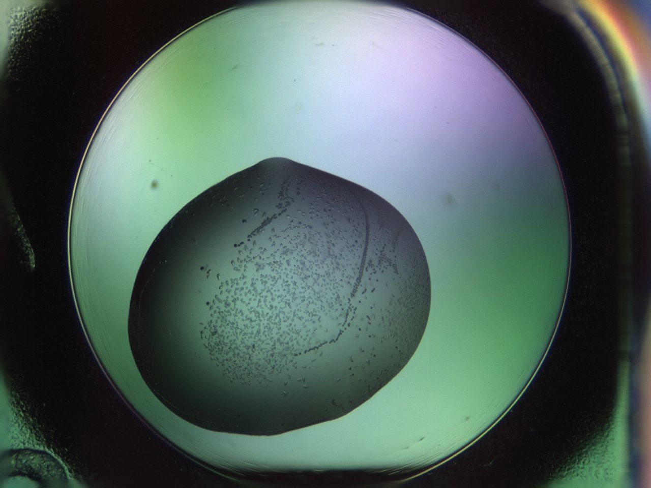 02my_A12_ImagerDefaults_9.jpg