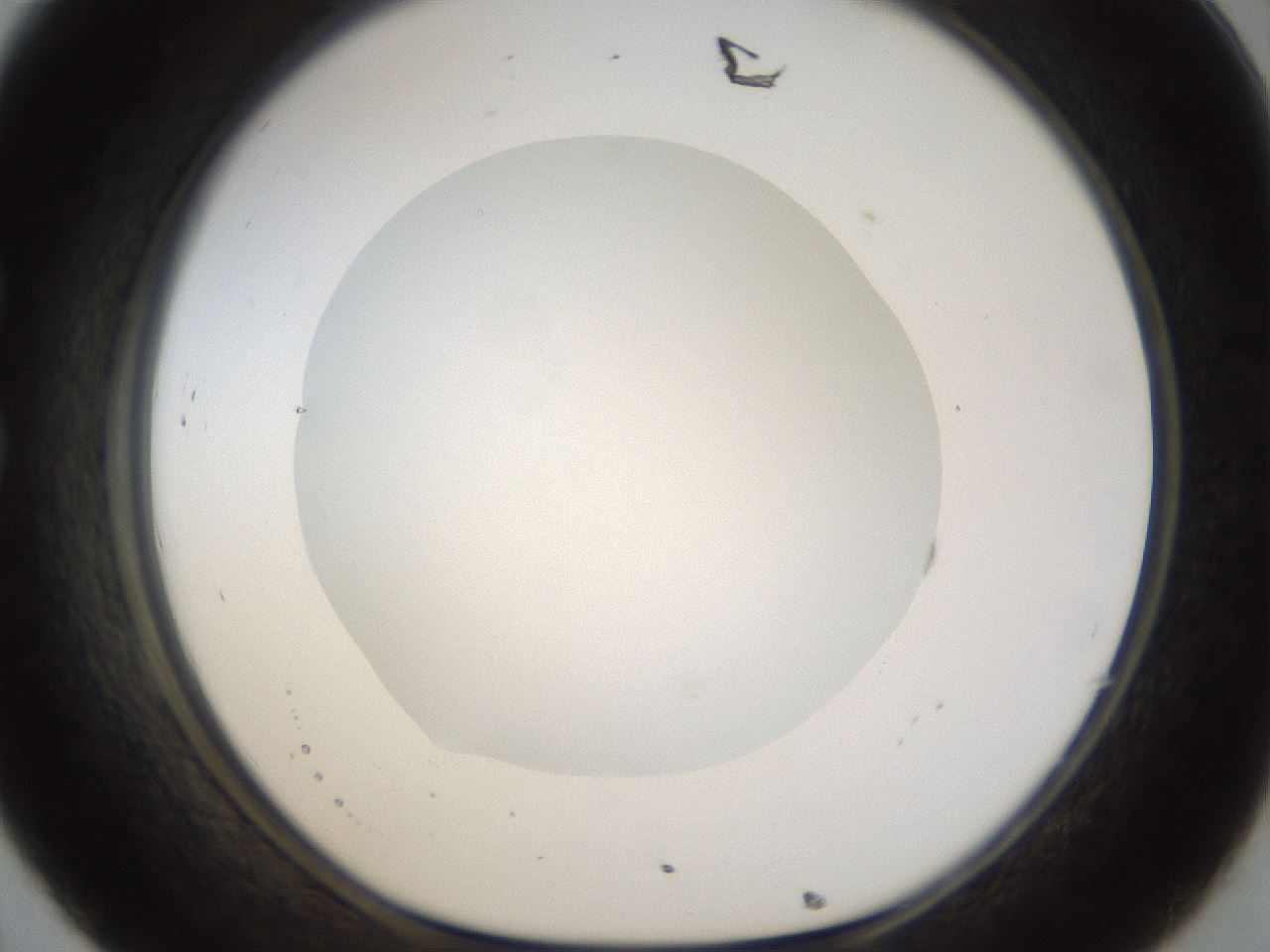 folderID18_plateID1018_batchID1888_wellNum32_profileID1_d1_r43107_ef.jpg