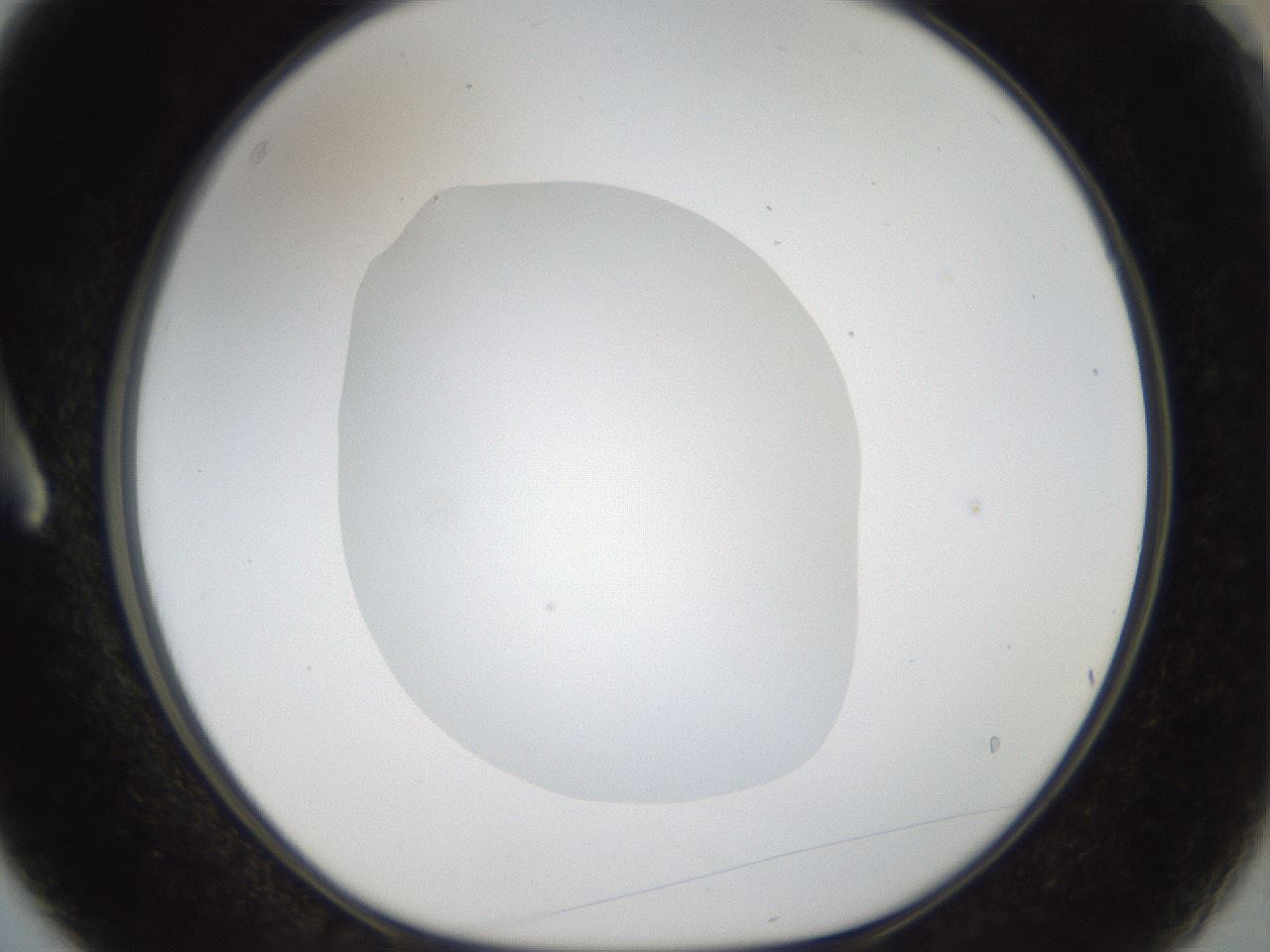 folderID18_plateID1018_batchID1888_wellNum3_profileID1_d1_r43078_ef.jpg