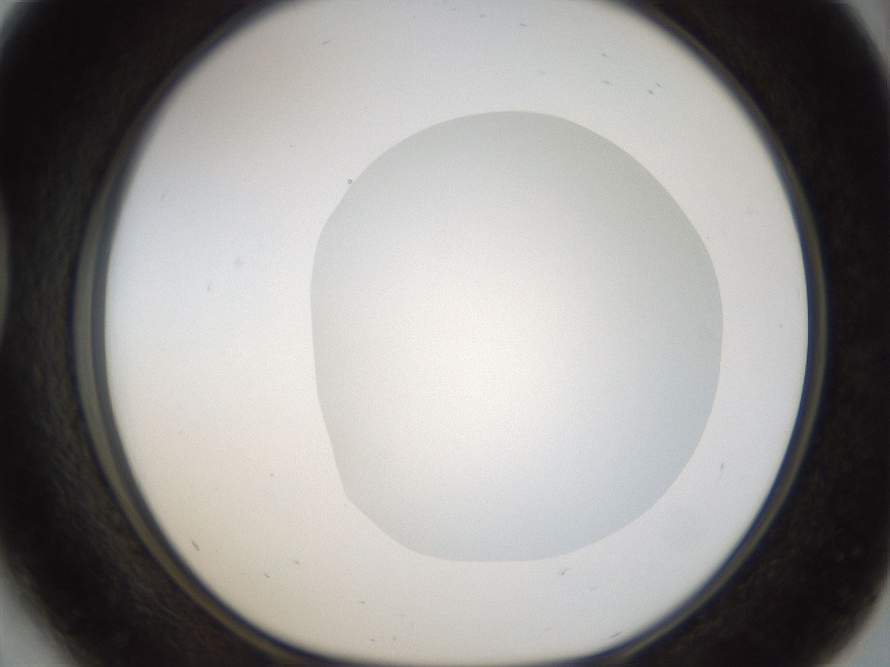 folderID18_plateID1018_batchID1888_wellNum41_profileID1_d1_r43116_ef.jpg
