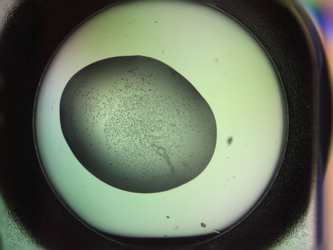 02my_C8_ImagerDefaults_9.jpg