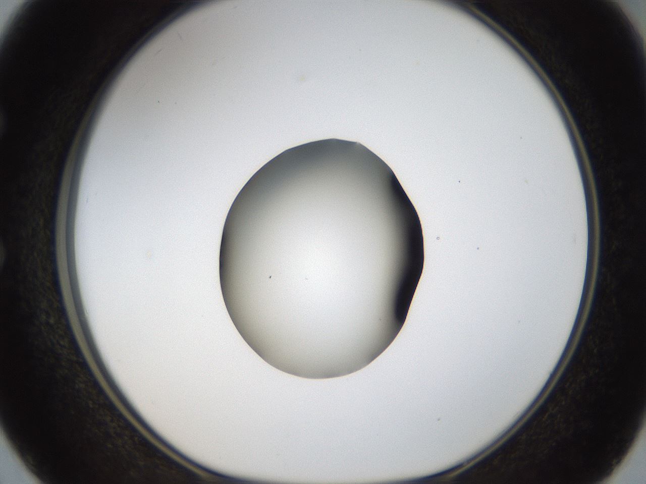 folderID18_plateID1018_batchID1888_wellNum50_profileID1_d1_r43125_ef.jpg