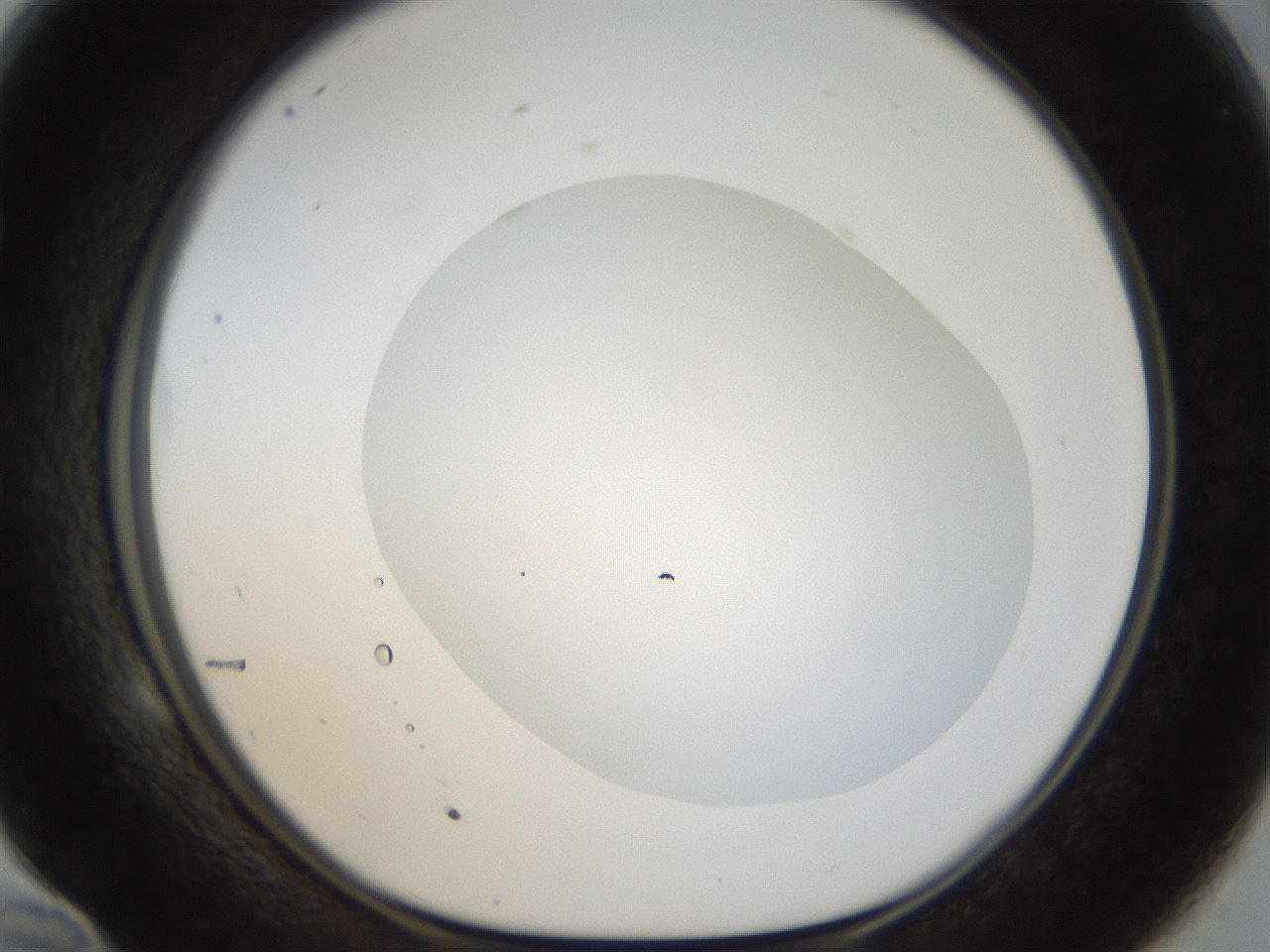 folderID18_plateID1018_batchID1888_wellNum58_profileID1_d1_r43133_ef.jpg