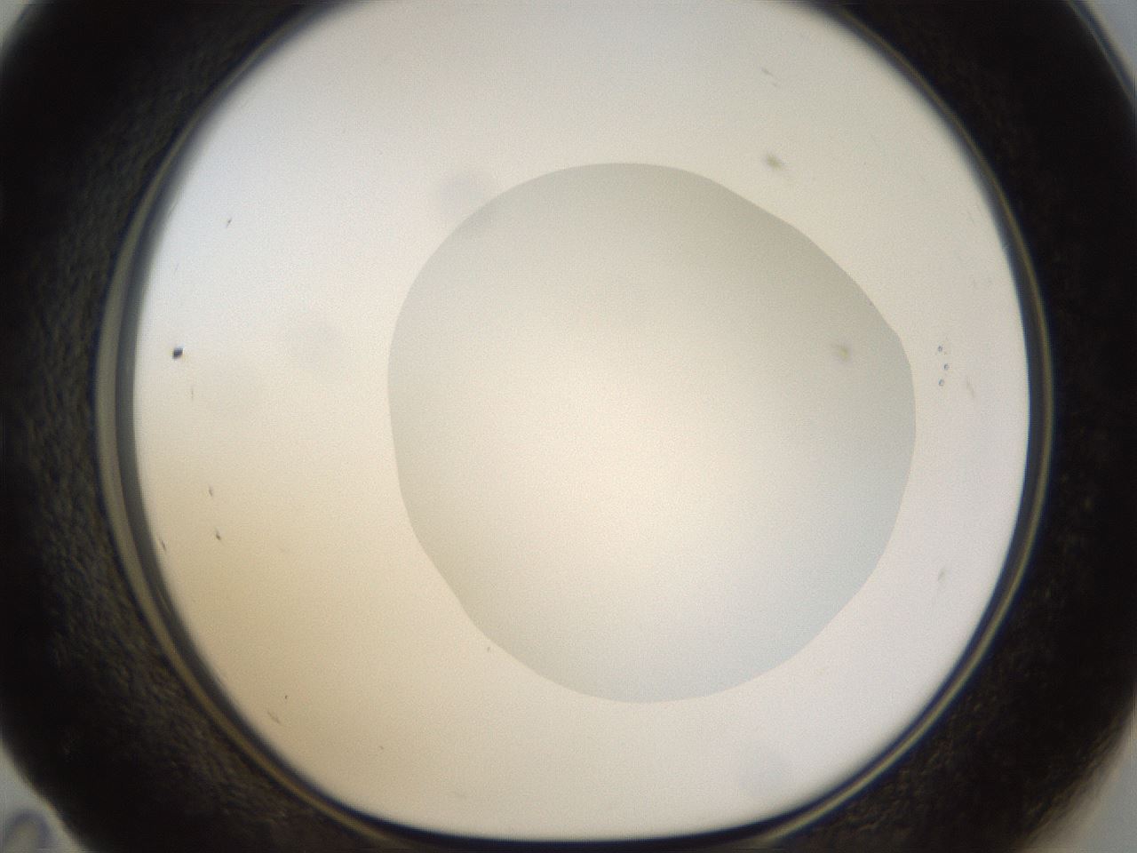 folderID18_plateID1018_batchID1888_wellNum59_profileID1_d1_r43134_ef.jpg
