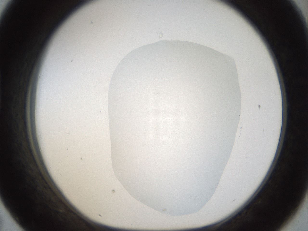 folderID18_plateID1018_batchID1888_wellNum43_profileID1_d1_r43118_ef.jpg