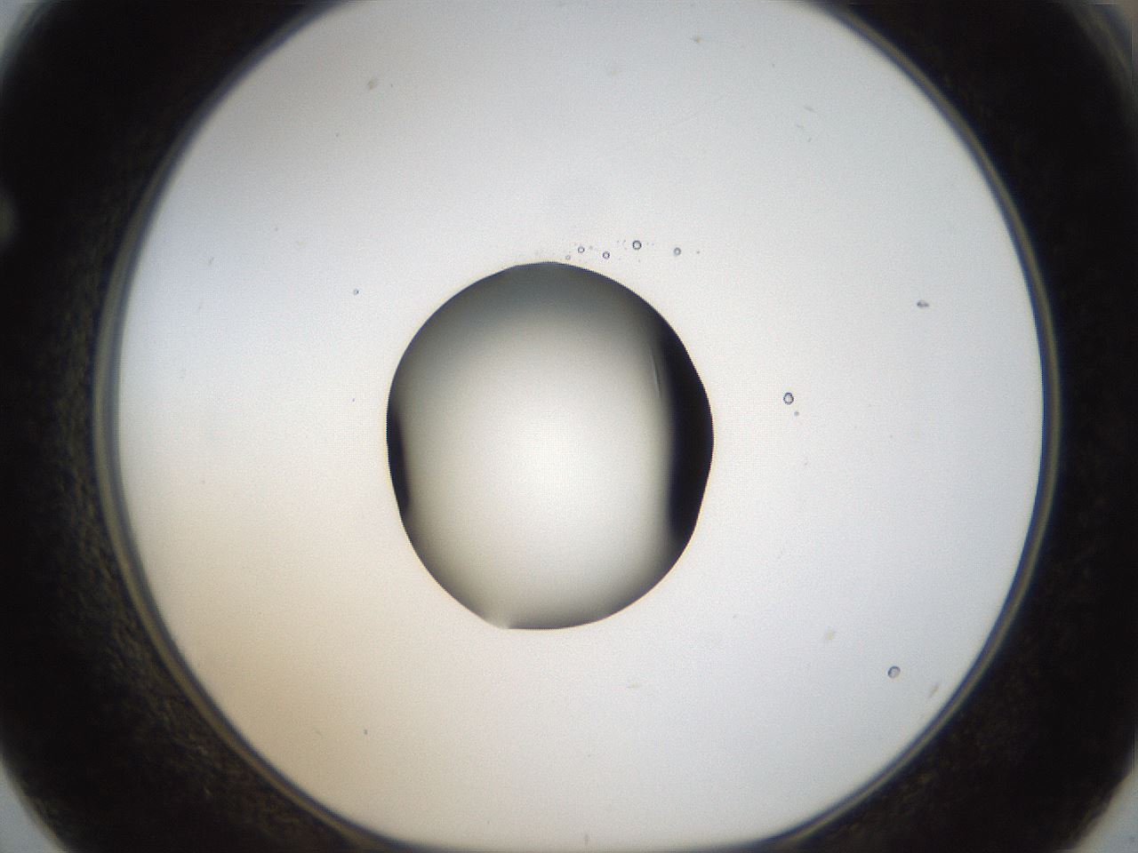 folderID18_plateID1018_batchID1888_wellNum62_profileID1_d1_r43137_ef.jpg