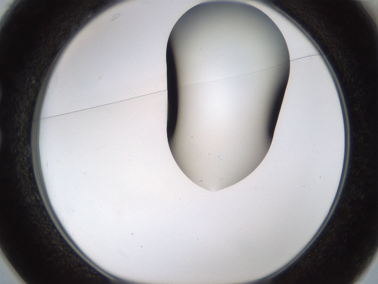 folderID190_plateID1190_batchID3355_wellNum25_profileID1_d1_r64951_ef.jpg