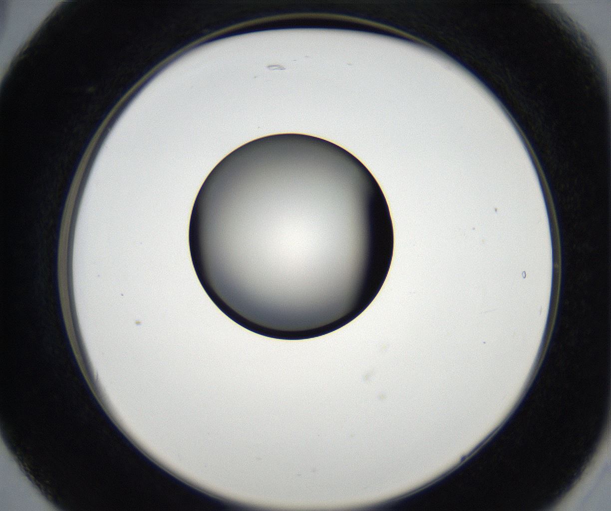 folderID179_plateID2179_batchID9609_wellNum17_profileID1_d2_r147368_ef.jpg