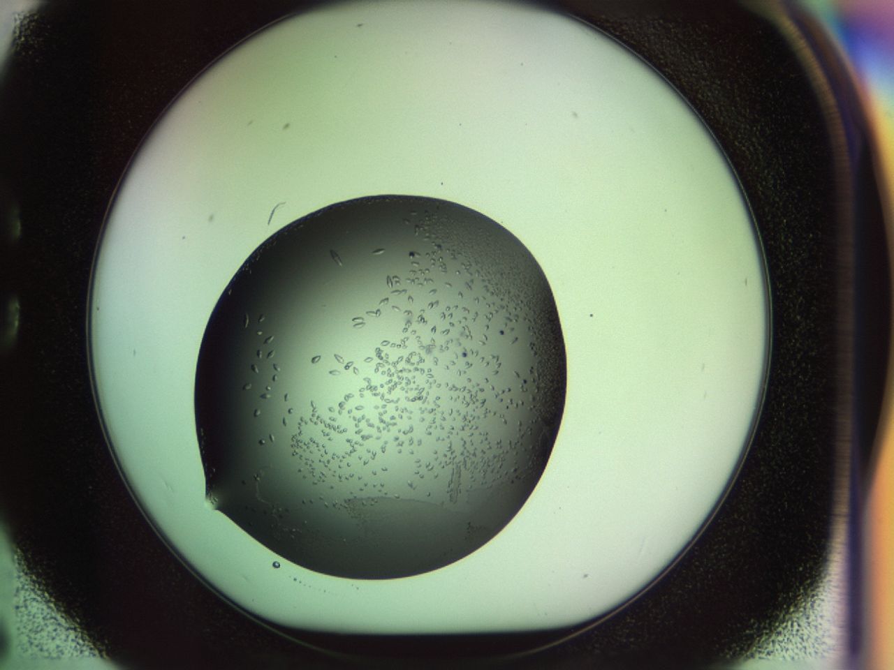 02my_C6_ImagerDefaults_9.jpg