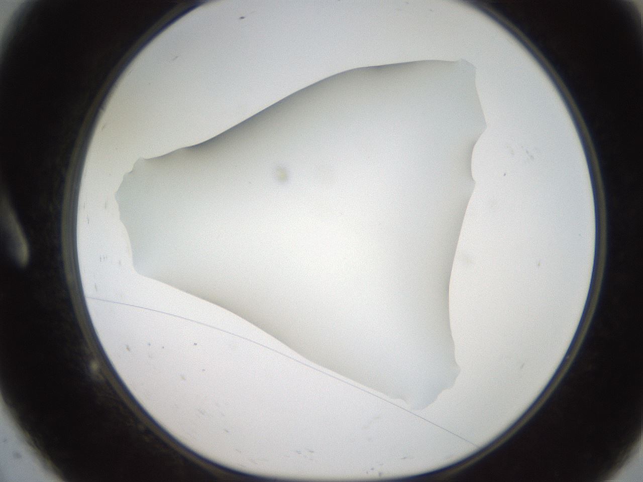 folderID187_plateID2187_batchID9955_wellNum9_profileID1_d1_r148223_ef.jpg