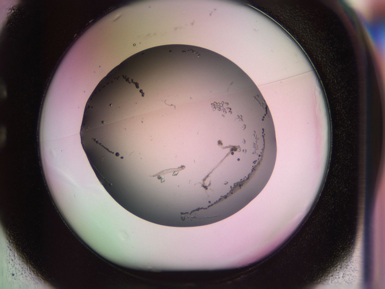 02my_C1_ImagerDefaults_9.jpg
