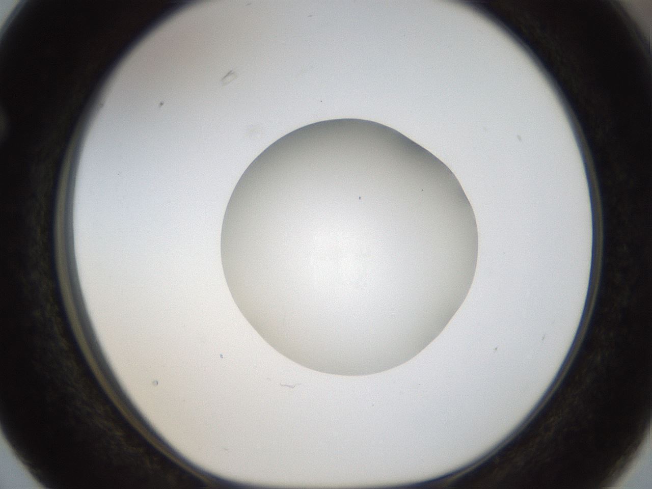 folderID18_plateID1018_batchID1888_wellNum63_profileID1_d1_r43138_ef.jpg