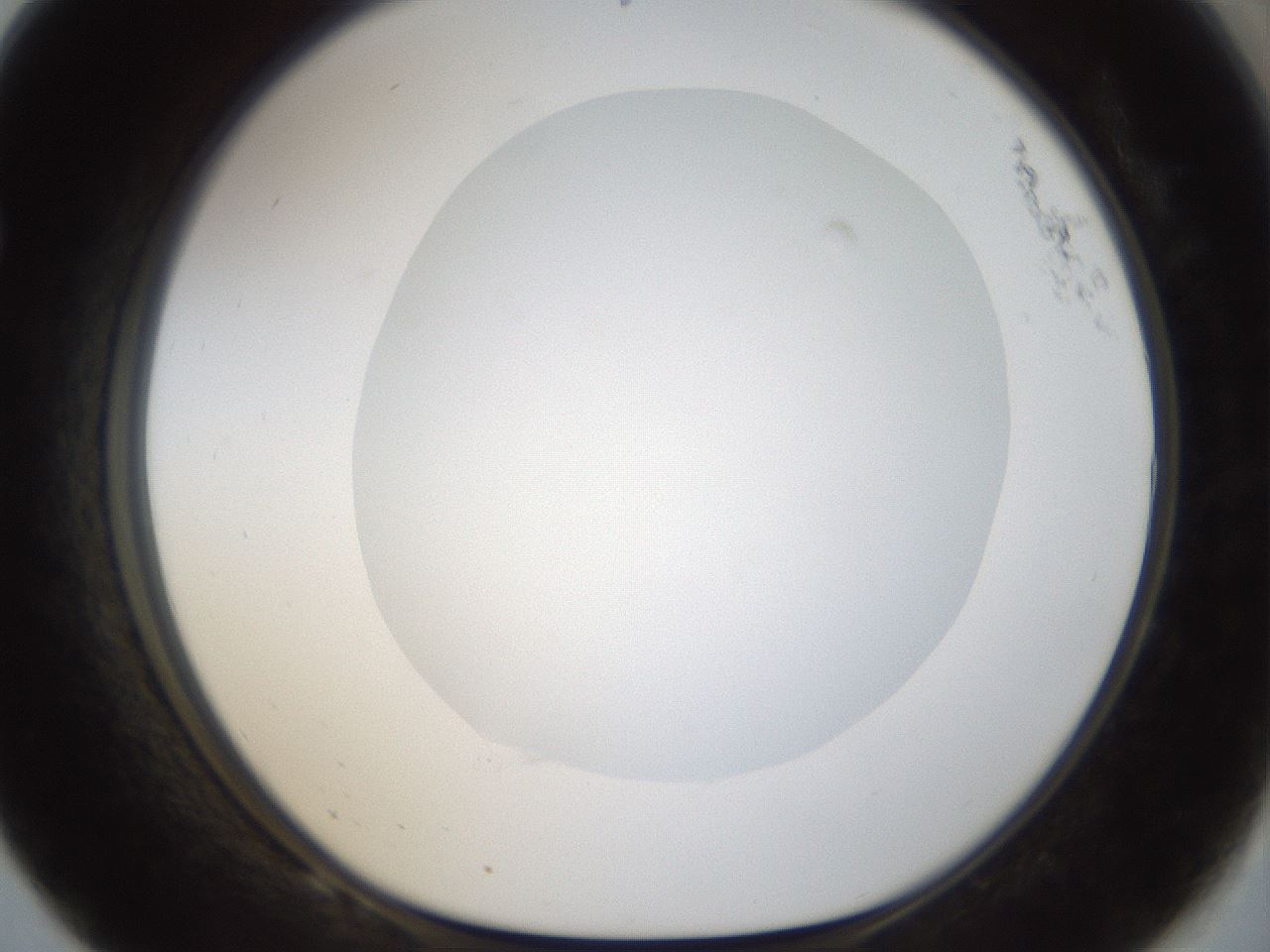 folderID18_plateID1018_batchID1888_wellNum68_profileID1_d1_r43143_ef.jpg