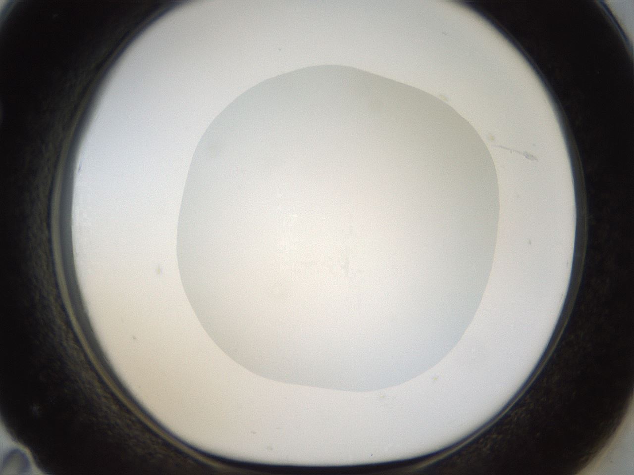 folderID18_plateID1018_batchID1888_wellNum71_profileID1_d1_r43146_ef.jpg