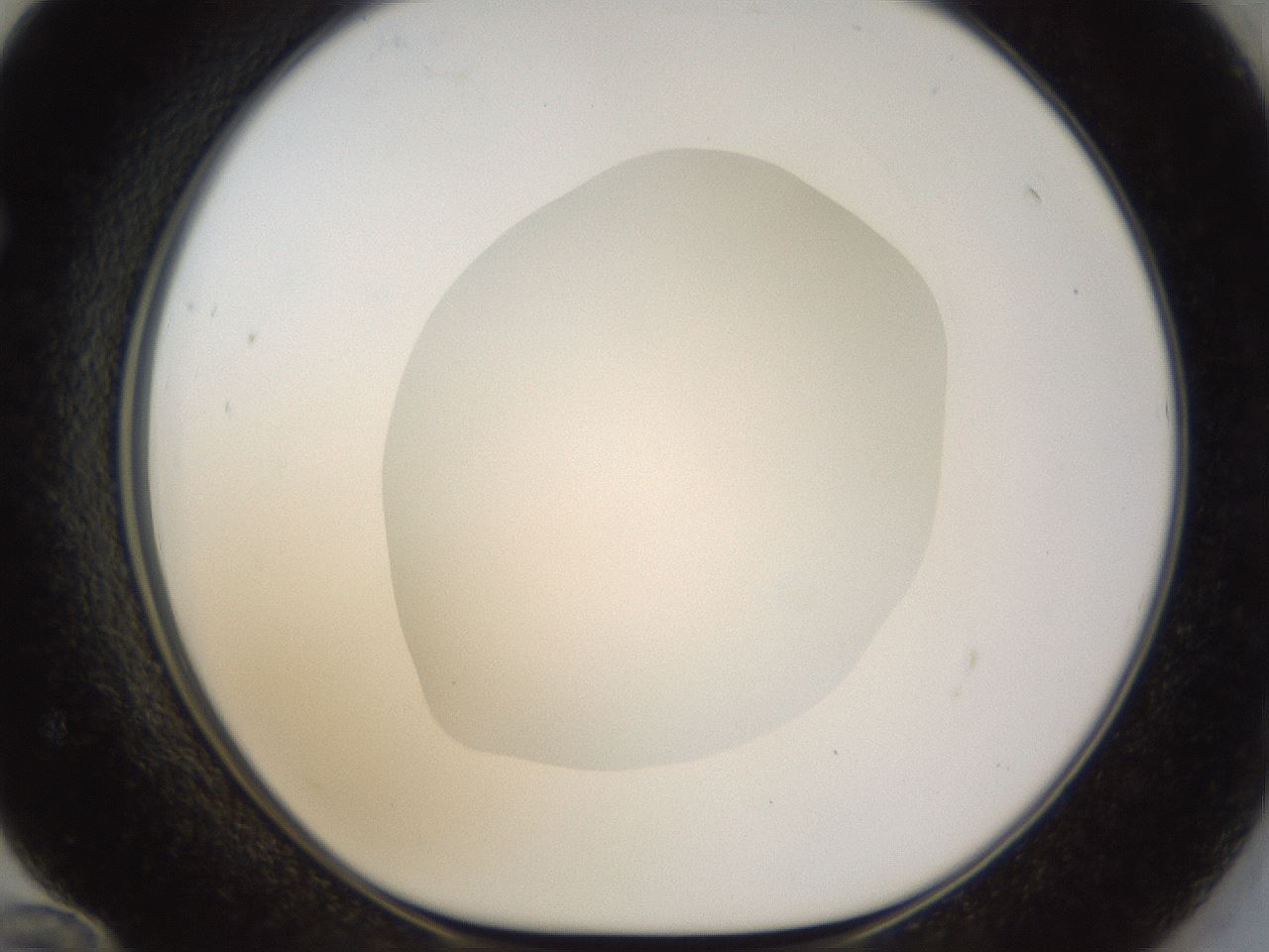 folderID18_plateID1018_batchID1888_wellNum72_profileID1_d1_r43147_ef.jpg