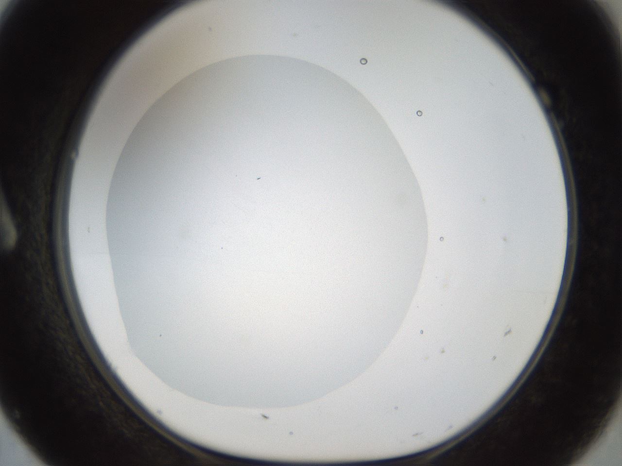 folderID18_plateID1018_batchID1888_wellNum7_profileID1_d1_r43082_ef.jpg