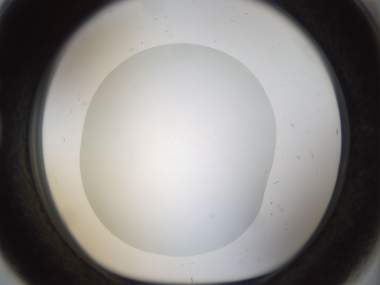 folderID18_plateID1018_batchID1888_wellNum80_profileID1_d1_r43155_ef.jpg