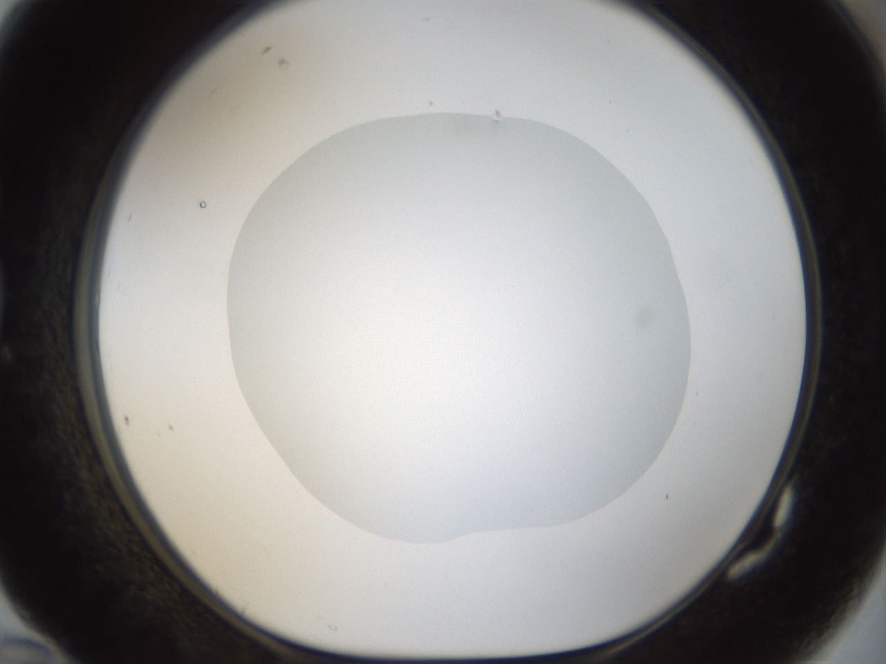 folderID18_plateID1018_batchID1888_wellNum82_profileID1_d1_r43157_ef.jpg