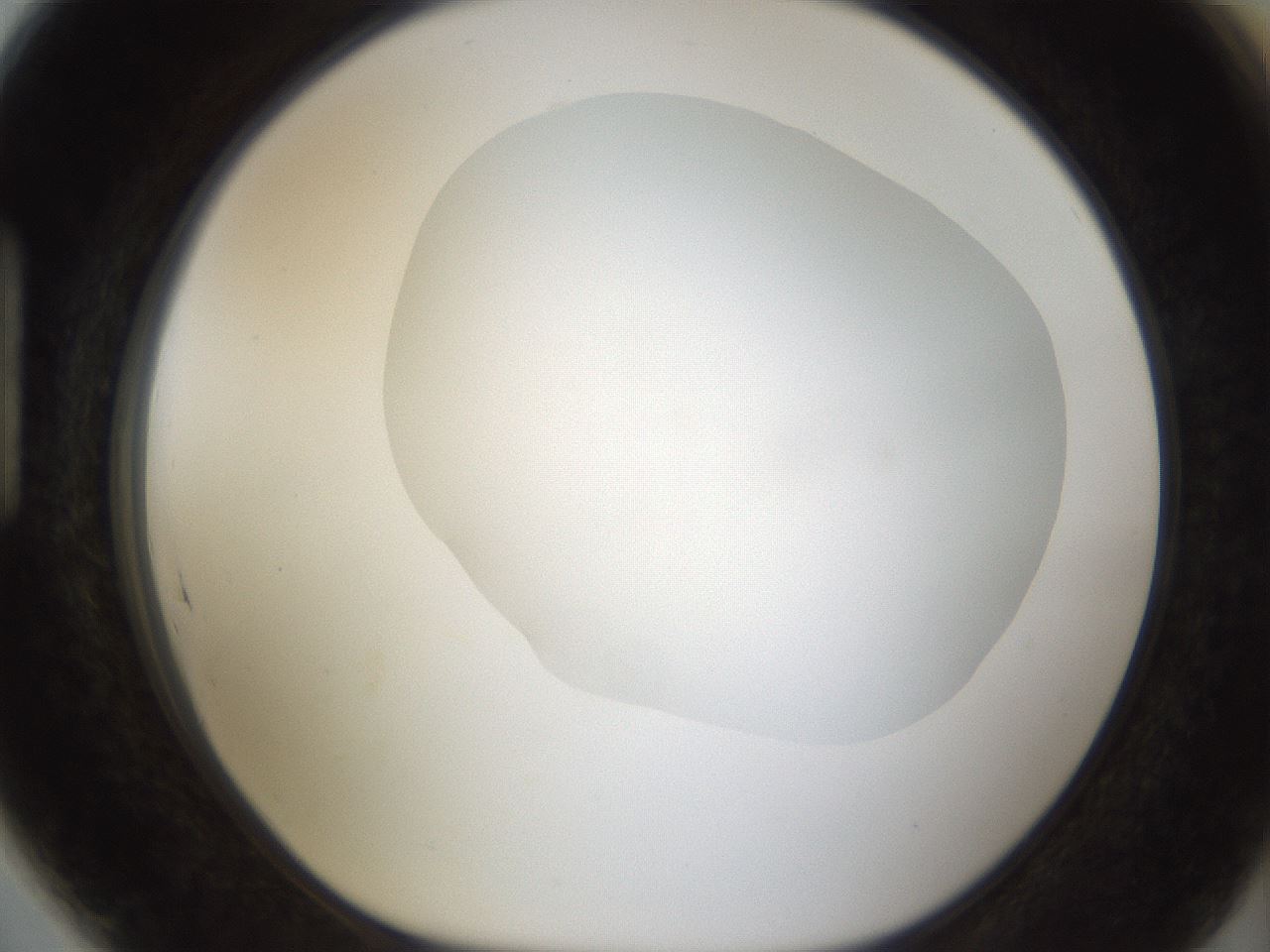 folderID18_plateID1018_batchID1888_wellNum89_profileID1_d1_r43164_ef.jpg