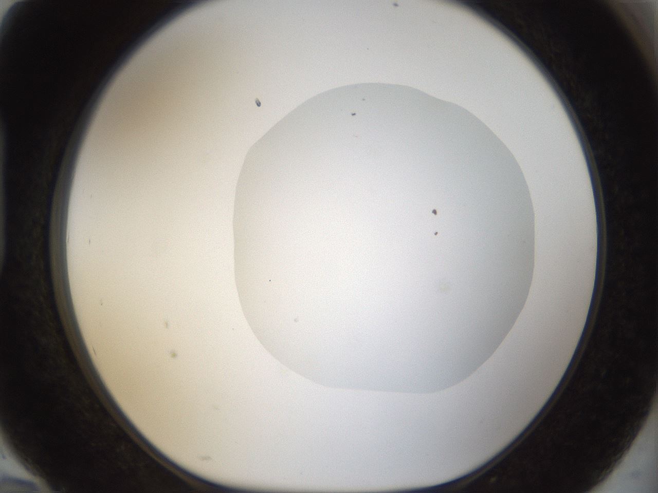folderID18_plateID1018_batchID1888_wellNum94_profileID1_d1_r43169_ef.jpg