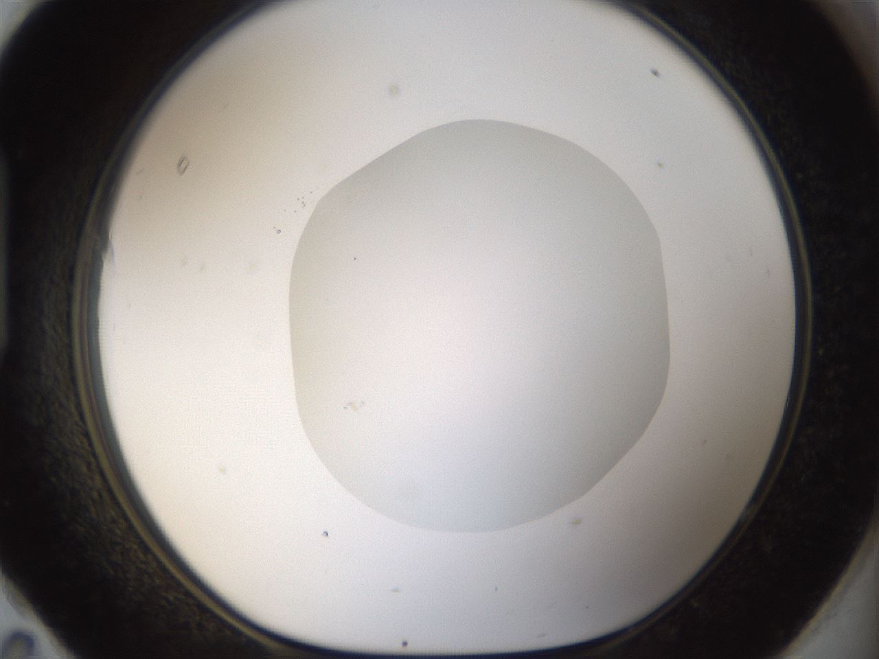 folderID18_plateID1018_batchID1888_wellNum95_profileID1_d1_r43170_ef.jpg