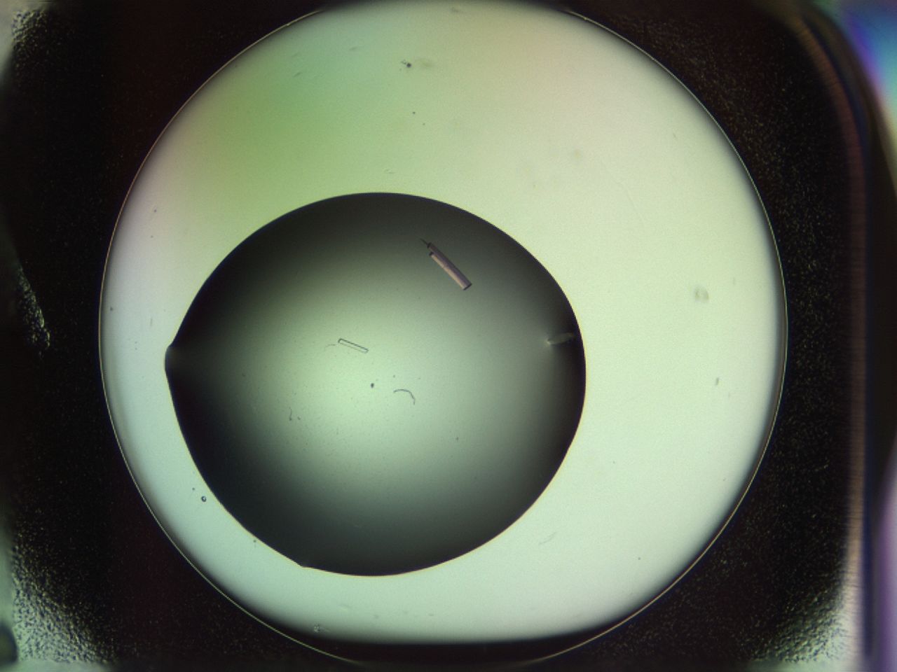 02my_A6_ImagerDefaults_9.jpg
