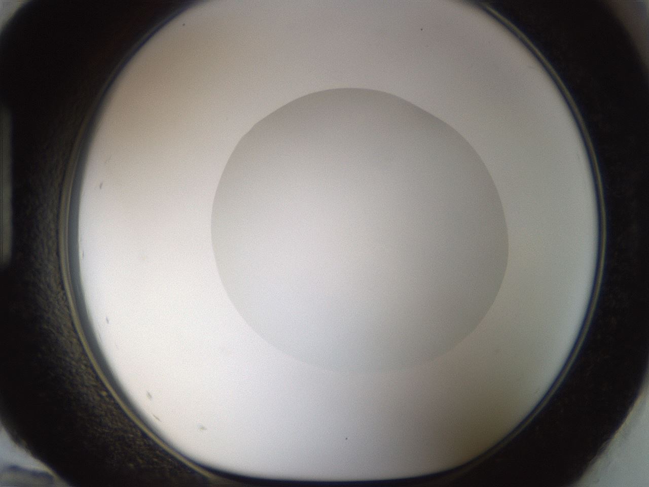 folderID18_plateID1018_batchID1888_wellNum96_profileID1_d1_r43171_ef.jpg